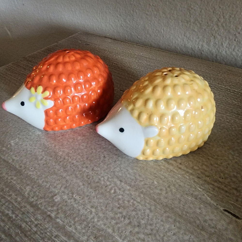 HEDGEHOG SALT & PEPPER SET PIER 1